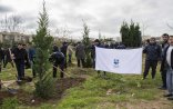 Nərimanov rayonunda yerləşən yaşıllıq zolağında iməcilik keçirilib