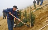 Səbail rayonunda «Yaşıl Marafon»un ikinci mərhələsi çərçivəsində  növbəti   aksiya keçirilmişdir