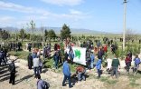 Gəncədə-Çanakkala zəfərinin 100 illiyi münasibətilə ağacəkmə kampaniyası keçirilib