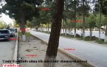 Şirvanda Rəsulzadəyə hörmətsizlik