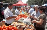 Kənd yerlərində çalışanlara stimul yaradılmalıdır