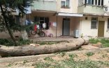 Nazirlikdən açıqlama
