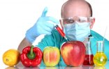 Azərbaycanda GMO məhsullarını yoxlamaq üçün laboratoriya varmı? — Ekspert rəyi