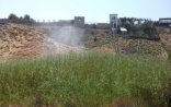 500 ha əraziyə Asiya çəyirtkələrinə qarşı dərman çilənib