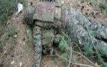 Ermənistanın iki hərbçisi məhv edildi, xeyli yaralı var