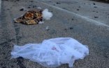 Toydan qayıdan ailə qəzaya düşdü - 2 ölü, 2 yaralı + Foto