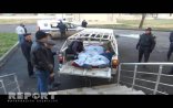 Qız tövlədə çobanı qardaşı Hadı ilə öldürüb - Biləsuvarda
