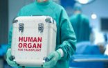 Azərbaycanda bu orqanların transplantasiyasına icazə veriləcək - SİYAHI  