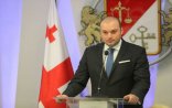 Gürcüstanda nazirliklərin sayı azaldılır