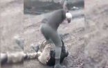 Bakıda qanlı cinayətin təfərrüatı: “Burada anamız-bacımız var...”