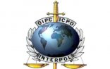 İnterpol öz rəhbərini axtarır