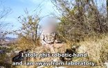 Gələcəkdən gələn adam hamını şok etdi - Foto