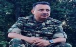 OKSİMORON: Vətənimə baxanda elə bilirəm ki, ölmüş ceyranı balaları əmir