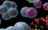 Diqqət! 4 gündən sonra koronavirus tamamilə YOX OLACAQ