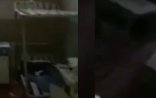Dilqəm Əsgərov və Şahbaz Quliyevin saxlanıldığı Şuşa həbsxanasından görüntülər - VİDEO