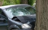 Xaçmazda maşın ağaca çırpıldı - Xəsarət alan var