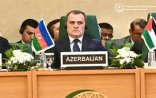 Azərbaycan Fələstinin mübarizəsini dəstəkləyir - Nazir