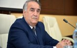 “Seçkilərdə İlham Əliyevi dəstəkləyəcəm!” - Rəsulzadənin nəvəsi mövqeyini AÇIQLADI