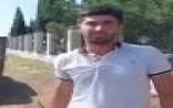 Agentlik gündəm olan inəklə bağlı araşdırmalara başladı 