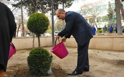 «Yaşıl Marafon»un ikinci mərhələsi çərçivəsində Səbail rayonunda növbəti aksiya keçirilib