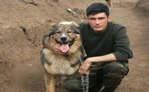 Daha bir şəhid verdik