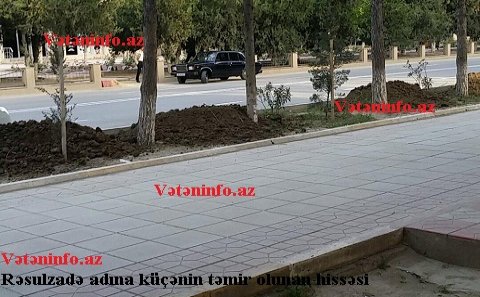 Şirvanda Rəsulzadəyə hörmətsizlik