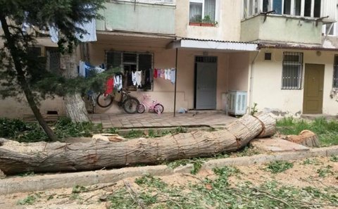 Nazirlikdən açıqlama