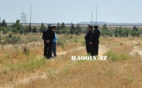 Oliqarxlar balta götürüb İlham Əliyevin ağaclarına hücum etdi