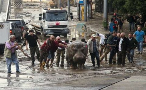 İrəvanda Tbilisi fəlakəti...