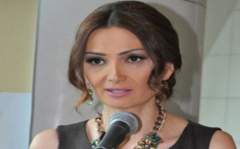 Deputat 13 kəndin sakinlərinin sözünü Prezidentə çatdıracaq