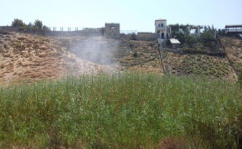 500 ha əraziyə Asiya çəyirtkələrinə qarşı dərman çilənib
