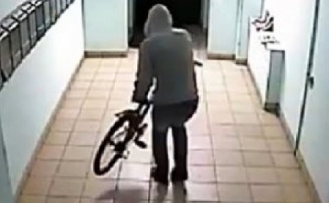 Velosiped oğruları