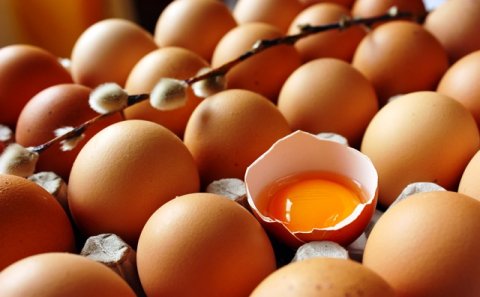 Nazirlik yumurtanın qiymətini açıqladı