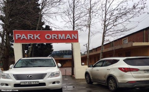 Məşhur restoran əxalqıszlıq yuvası imiş - Fotolar