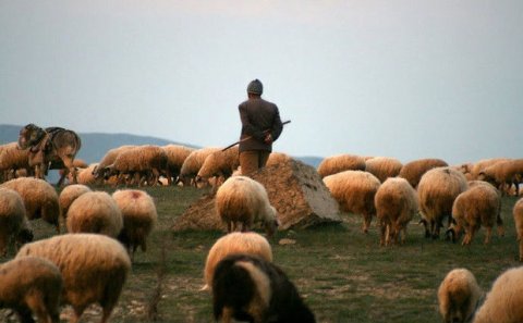 Ermənilər Ağdamda çobanları atəşə tutdular