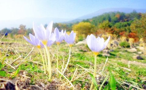 Sabah Bakıda 13 dərəcə isti olacaq