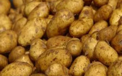 80 ton Azərbaycan kartofu geri qaytarıldı