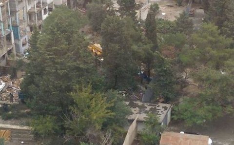 Bakıda növbəti “yaşıl soyqırım”: Ağaclar belə məhv edilir - VİDEO + FOTO