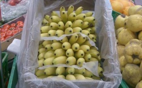 Bakıda bu bananın 1 kiloqramı 8 manata satılır – FOTO