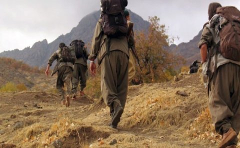 Türkiyənin başına 600 min qoyduğu terrorçu məhv edildi