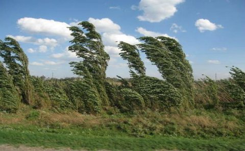 İyulun 13-14-də güclü küləkli olacaq – Temperatur 5-8 dərəcə aşağı enəcək