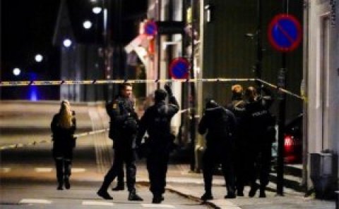 Norveç sakini ox və yayla küçələrə çıxıb, insanları öldürməyə başlayıb