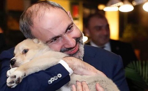 Azərbaycanda “Paşinyan aşiqləri” kimlərdir?