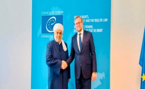 QMİ sədri nə üçün Avropa Şurasına dəvət edilmişdi?