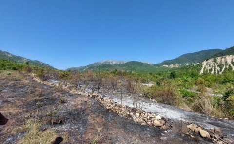 Qubada meşələrin 500 hektarı yandı, yanğın lokallaşdırıldı