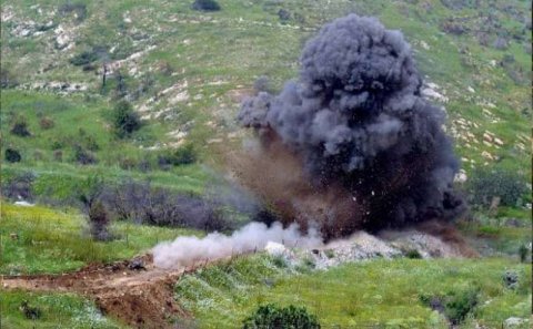 Qubadlıda mina partladı: Bələdçi yaralandı, minaaxtaran it tələf oldu