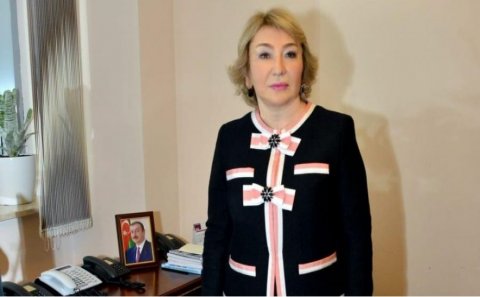 Deputat: Uşaqlara qarşı virtual aləmdə zorakılıq əməlləri geniş yayılır
