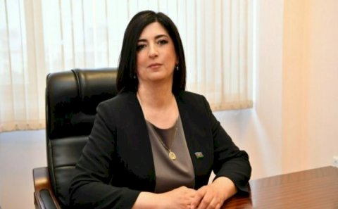 YAP-ın siyahısına düşməyən xanım deputat danışdı 
