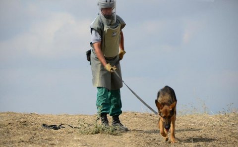 Vətən müharibəsindən sonra mina qurbanlarının sayı açıqlandı