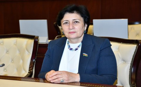 “Bu təbiətdir, insanları panikaya salmaq olmaz” -Deputat